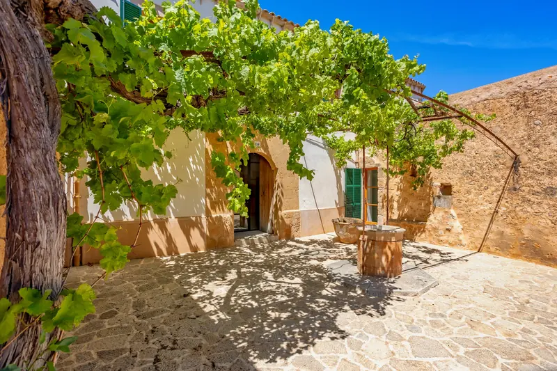 Fachada de casa de piedra con parra y persianas verdes