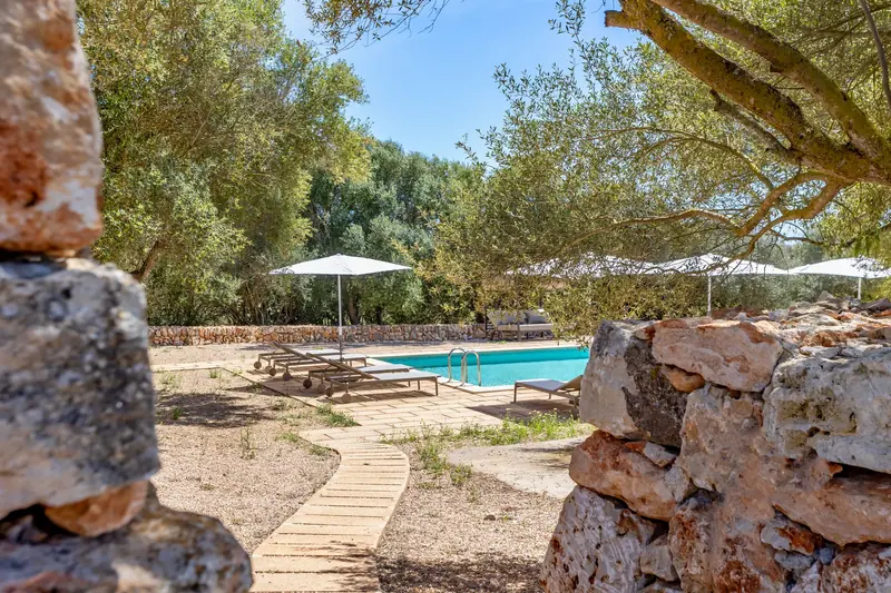 Camino de piedra entre olivos hacia la piscina de una finca